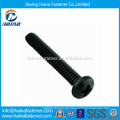 Black Oxide Phillips Pan Head Maschinenschraube Made in China